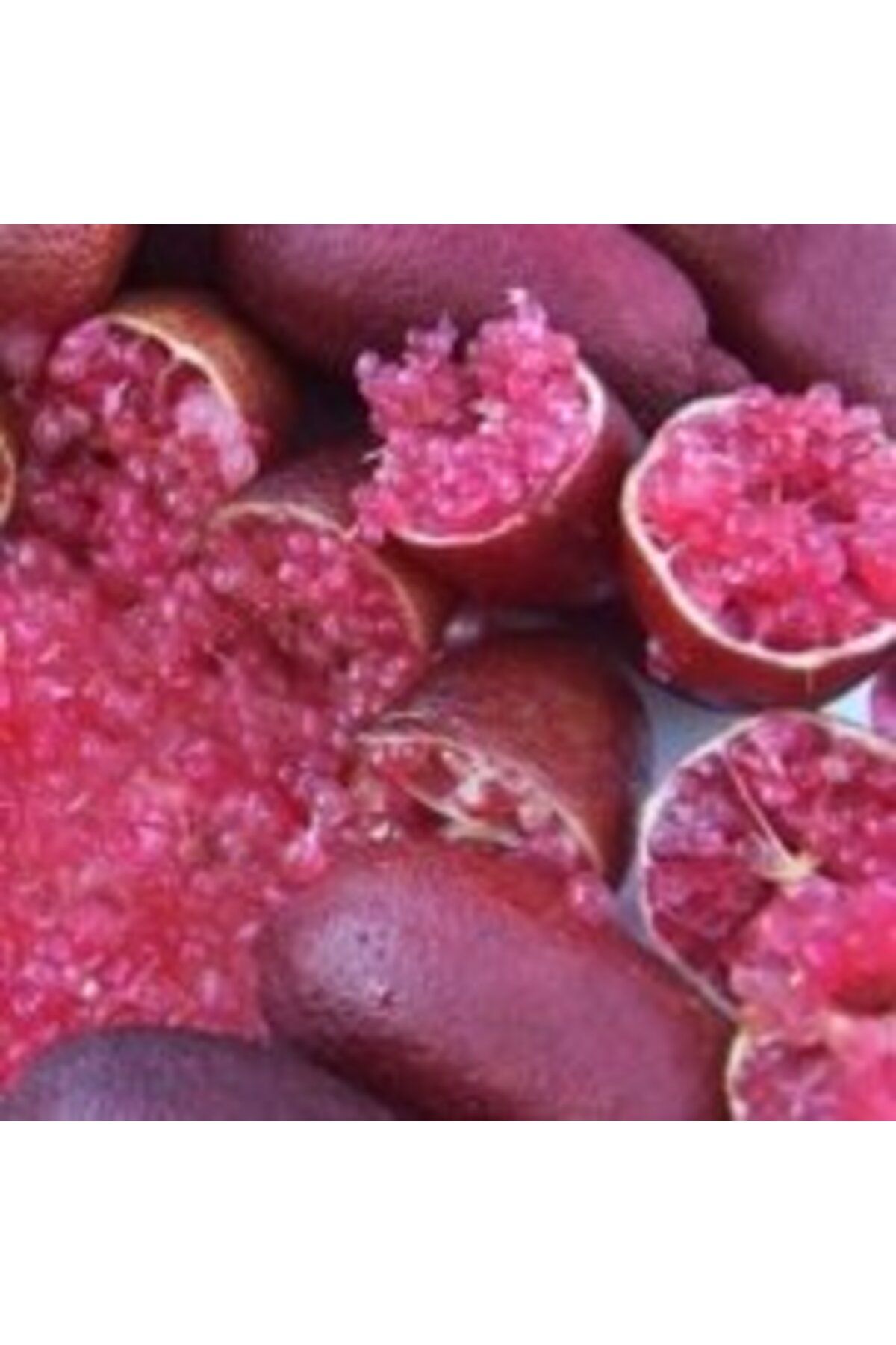 havyar-limon-kirmizi-finger-lime-red-champagne-321.jpg