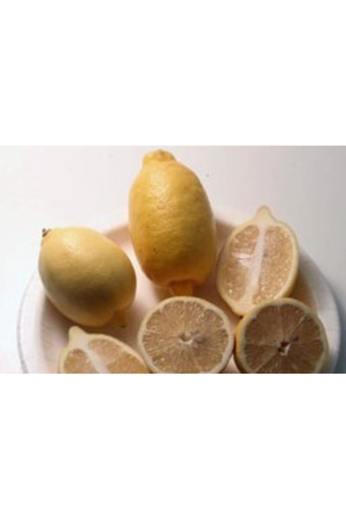 tuplu-asili-enterdonato-interdonat-limon-fidani-370.jpg