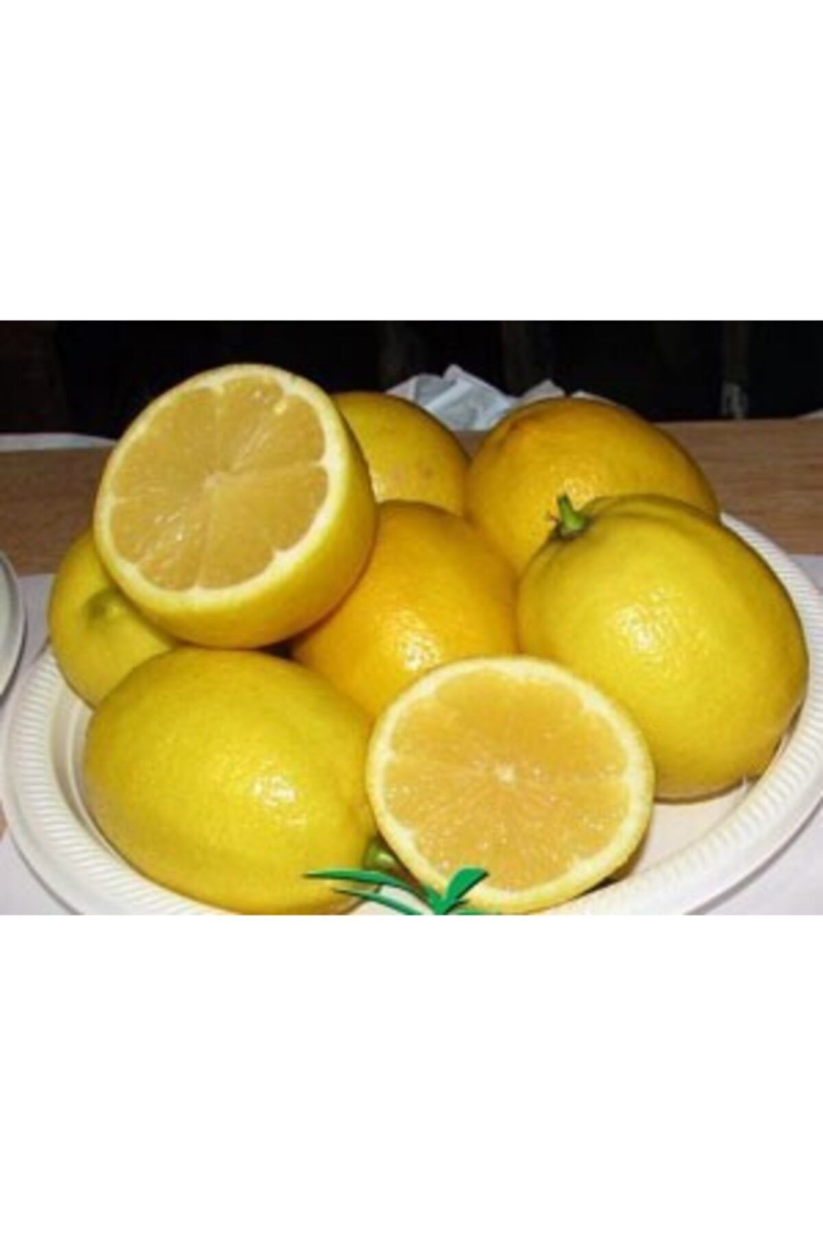 tuplu-asili-eureka-limon-fidani-365.jpg