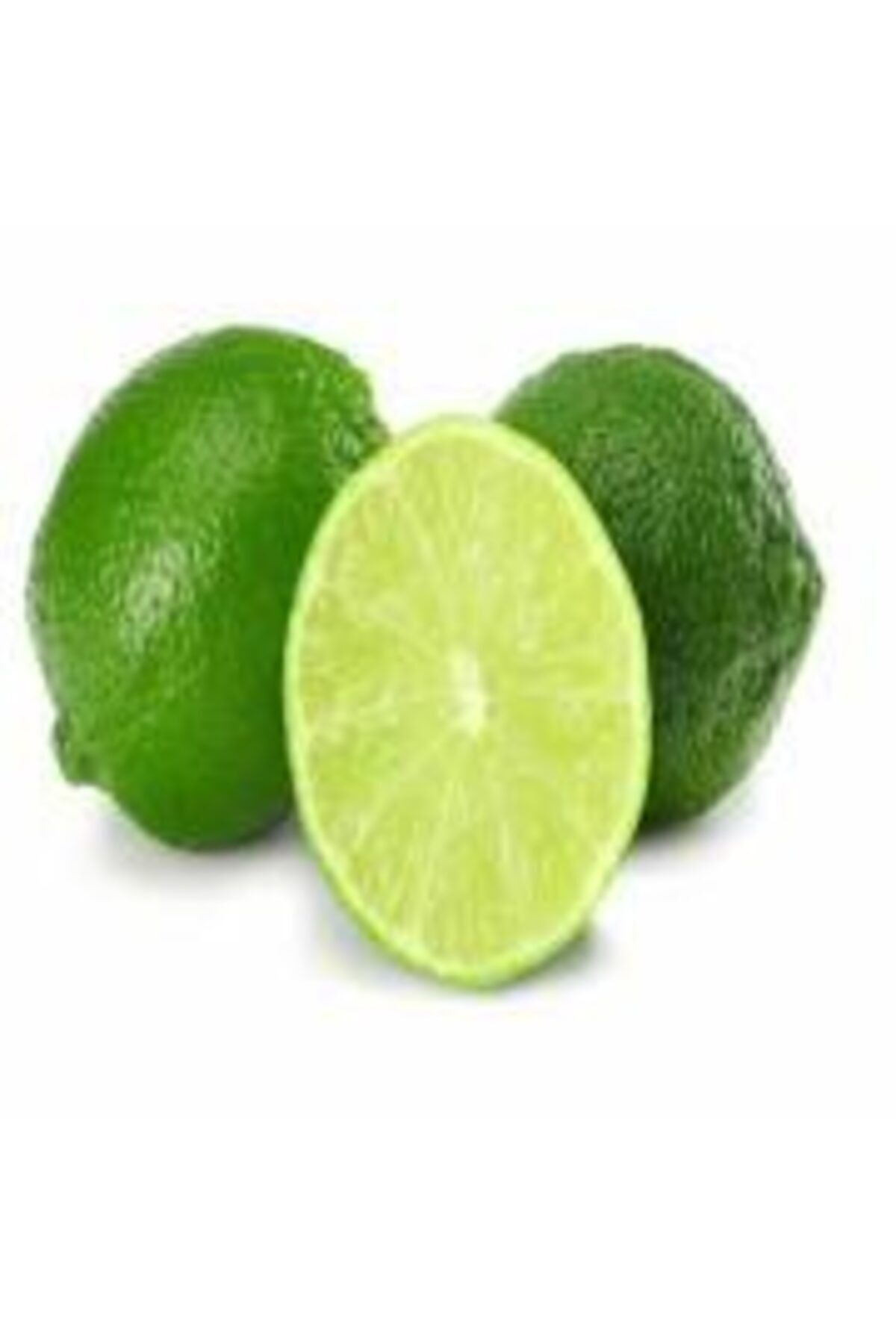 tuplu-asili-misket-limonu-lime-379.jpg